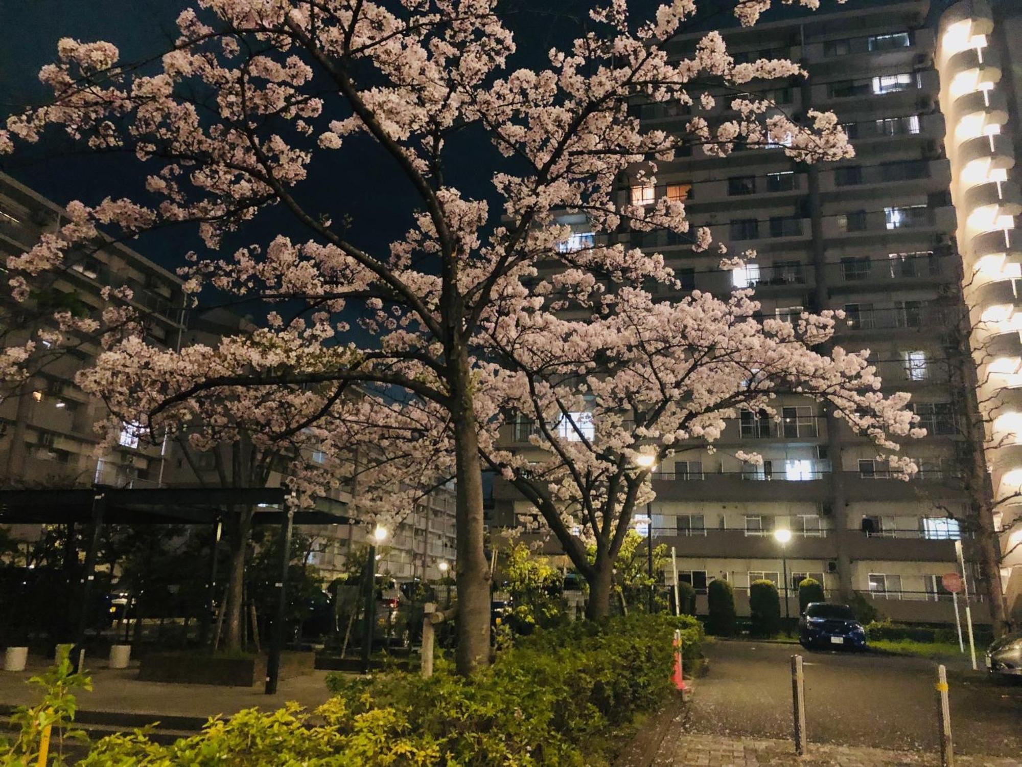 Jl 東京 House - 駐車場付き築浅のまるごと貸切住宅 Tokyo Exterior photo